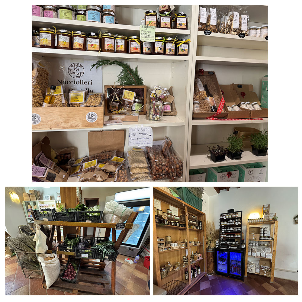 憧れのイタリア暮らし旅 フィレンツェでロングステイ