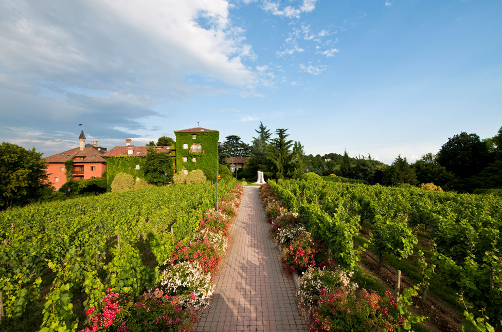 美食・美酒・美景を楽しむ！北イタリアワインの旅