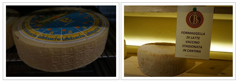 チーズファクトリーでチーズの熟成見学　チーズの奥深さを学び味わう！